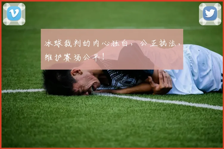 冰球裁判的内心独白，公正执法，维护赛场公平！