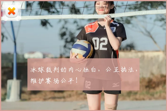 冰球裁判的内心独白，公正执法，维护赛场公平！