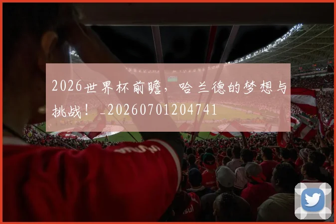 2026世界杯前瞻，哈兰德的梦想与挑战！_20260701204741
