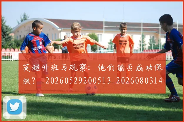 英超升班马观察:他们能否成功保级?_20260529200513_20260803144832