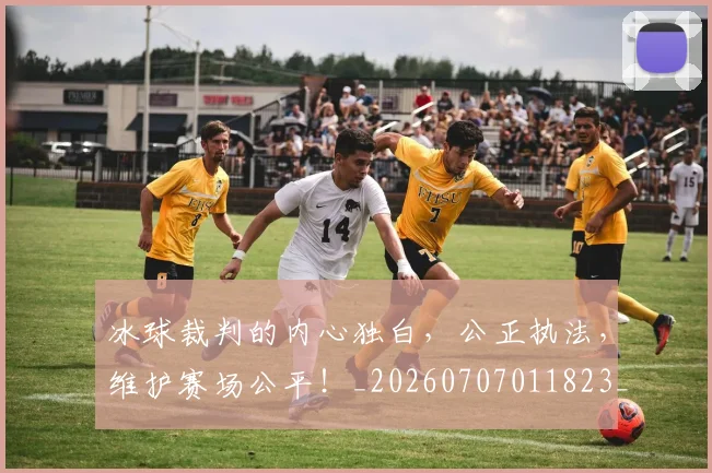 冰球裁判的内心独白，公正执法，维护赛场公平！_20260707011823_20260718005711